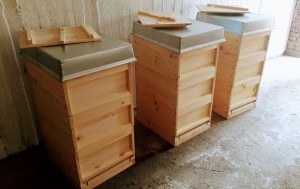 Beuten Zander Dr Liebig