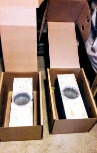 Kunstschwarmkiste Simpl