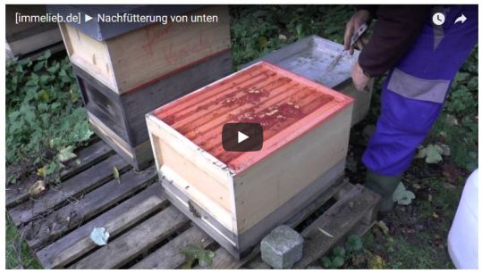 Unbenannt.JPfütternvonuntenG